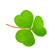 The Conversion of Saint Patrick