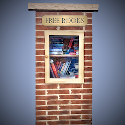 Wish List Project: Little Library
